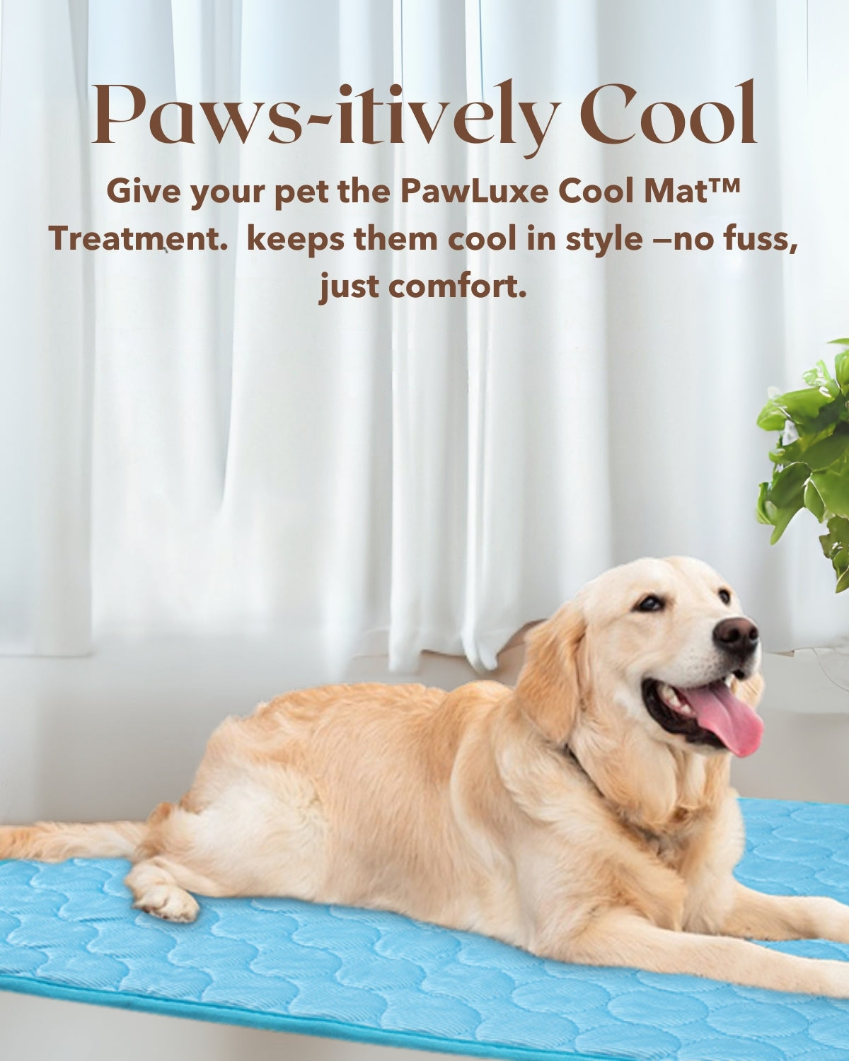 🐾 Chilli Cool Mat