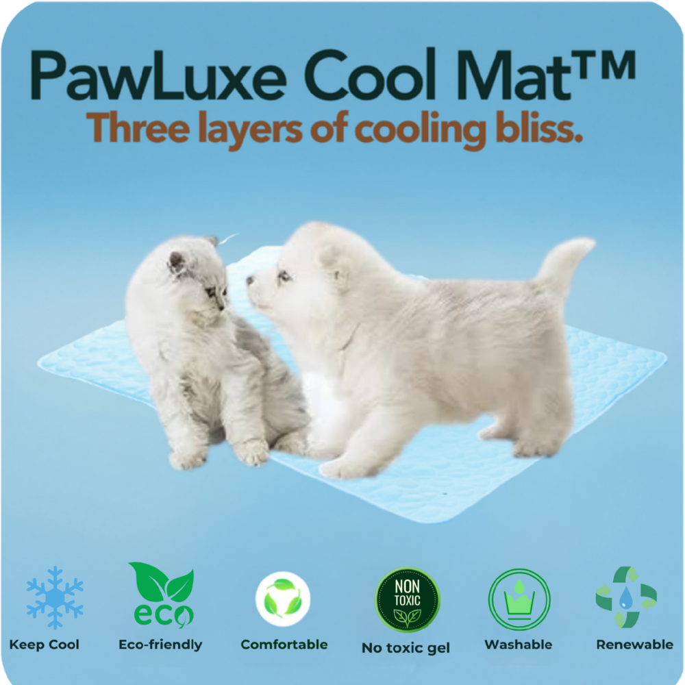 🐾 Chilli Cool Mat