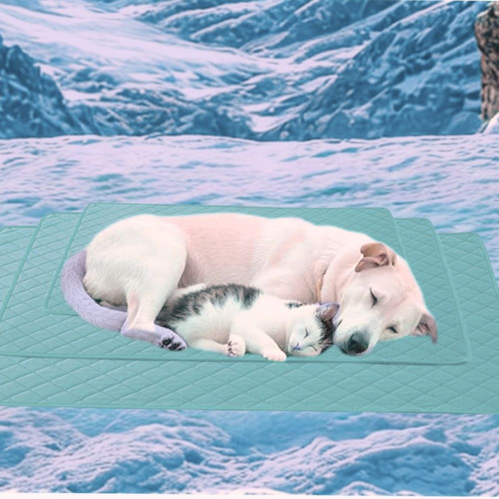 🐾 Chilli Cool Mat